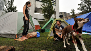 Illustration for article titled The Hot Dogs (And One Angry Cat) Of Occupy Wall Street